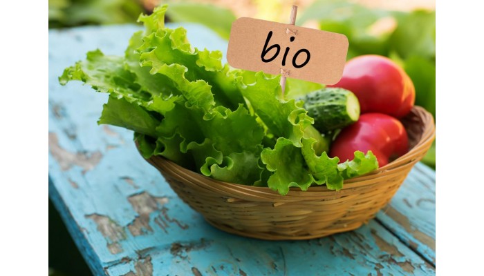 Органик-сертификация для эко-продуктов «Биотории».